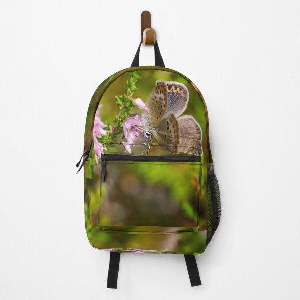 Item preview, Dressed in brown. Silver-studded Blue designed and sold by Jouko Lehto Photography.