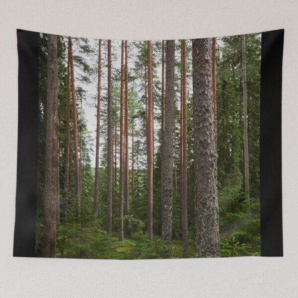 Item preview, Kirkaslamminkangas 9 designed and sold by Jouko Lehto Photography.