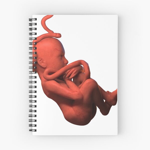 Item preview, human fetus designed and sold by GiovanniCancemi.