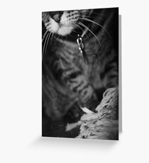 Wiskers & Threads Greeting Card