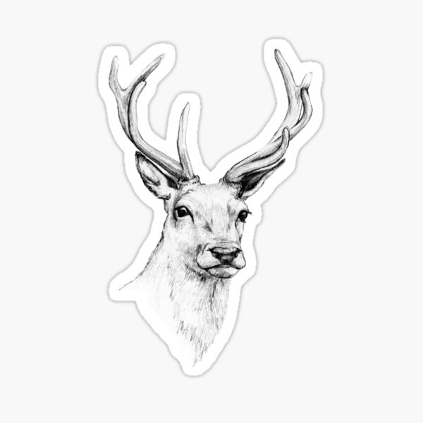 Item preview, Deer Antlers Stag Head designed and sold by Linn Warme.