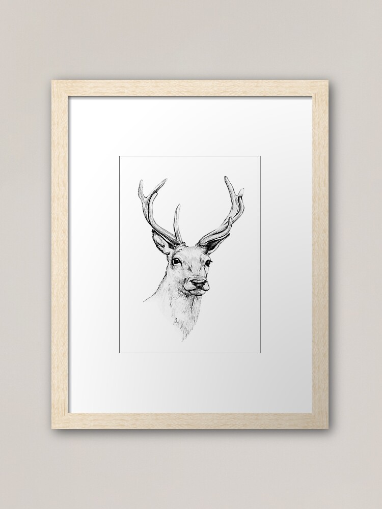 Deer Antlers Stag Head Framed Art Print By Linnw Redbubble