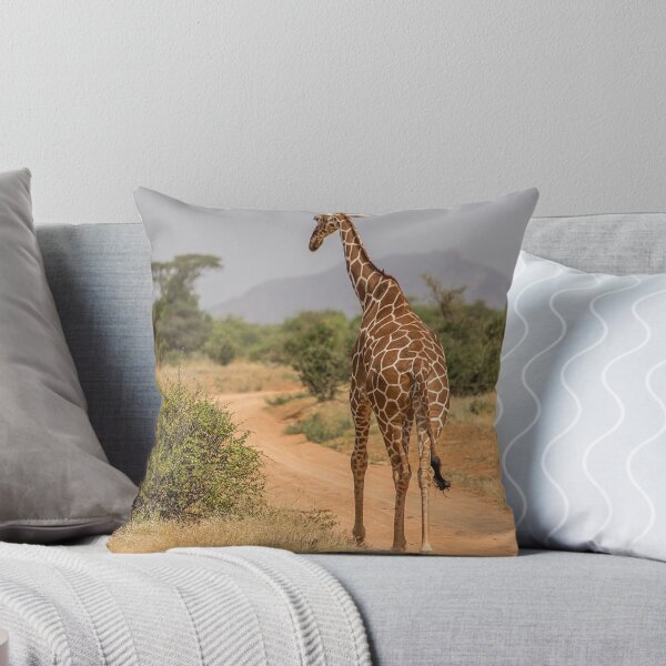 Artikelvorschau, Kenia. Samburu Nationalreservat. Retikulierte Giraffe. Weggehen. entworfen und verkauft von vadim19.