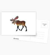 An Incredible Journey Postcards