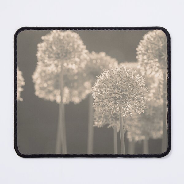 Item preview, Star ball leek in sepia designed and sold by Beabue.