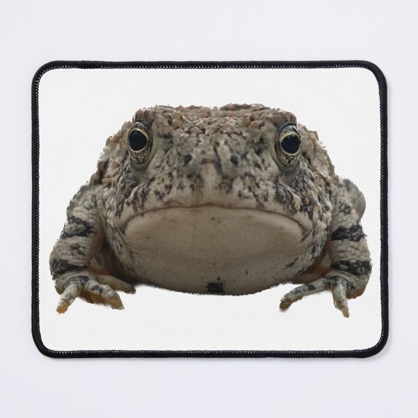 Item preview, Toad designed and sold by LifeSpice.
