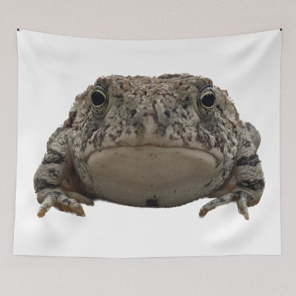 Item preview, Toad designed and sold by LifeSpice.