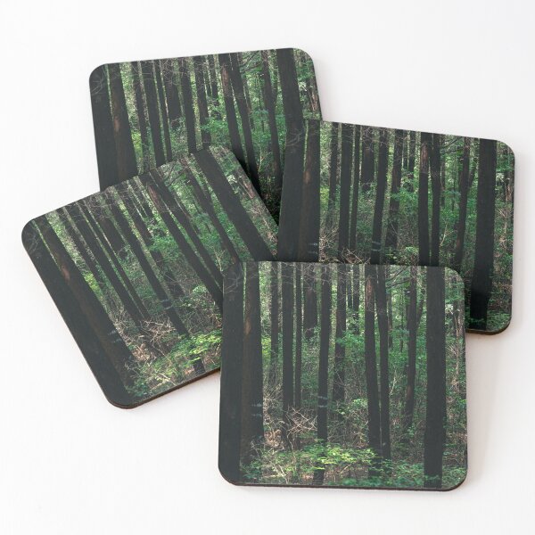 Item preview, Cypress forest designed and sold by seunghus.