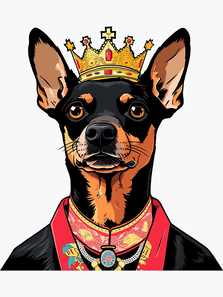 King pinscher 2024