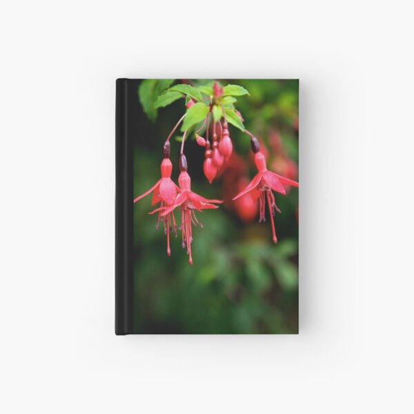 Fuchsia Hedge at Loch Na Fooey 3 Hardcover Journal