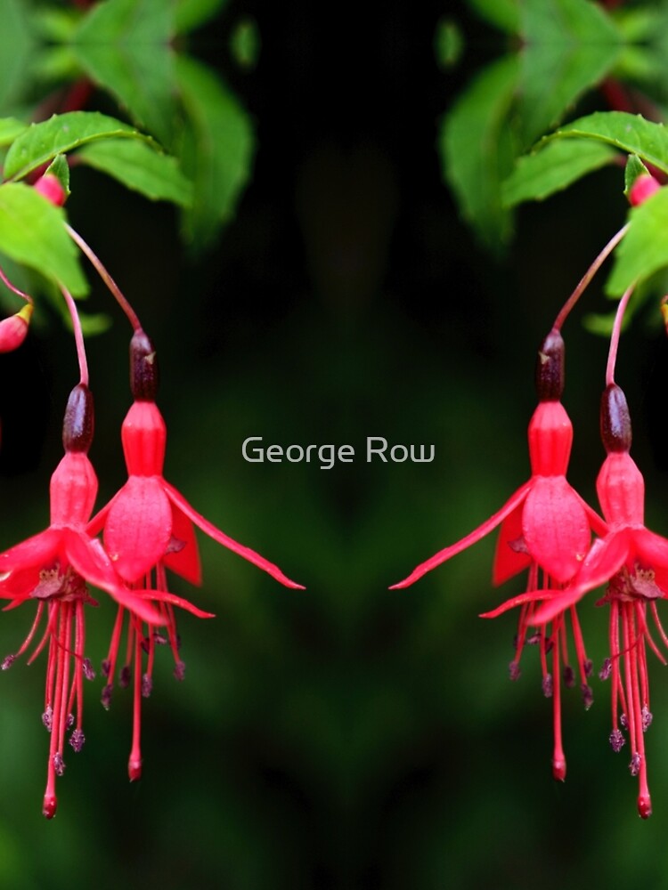 Fuchsia Hedge at Loch Na Fooey 3 by VeryIreland