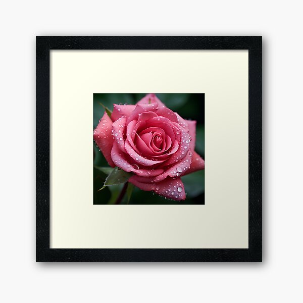 Item preview, Macro photograph of a rose digital print designed and sold by dcrc.