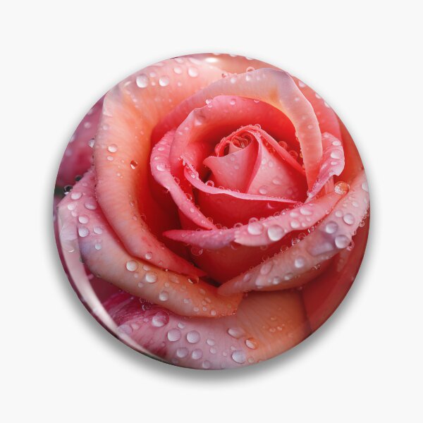 Item preview, Macro photograph of a rose digital print designed and sold by dcrc.