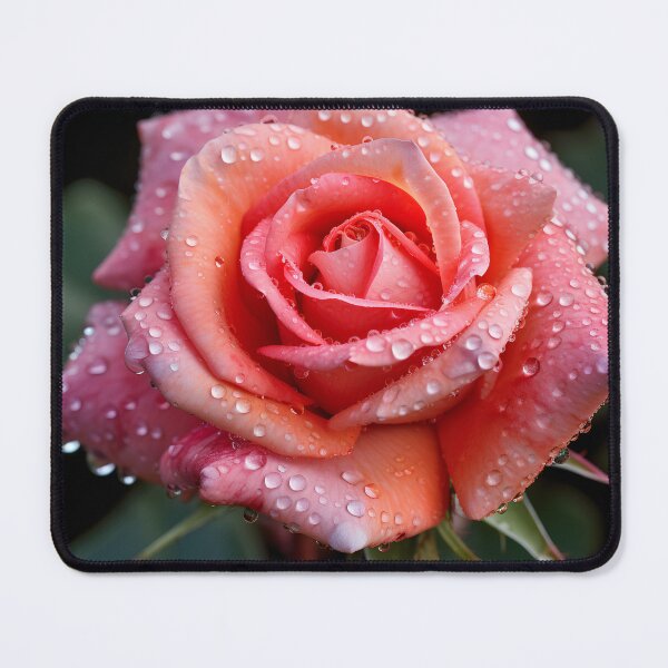 Item preview, Macro photograph of a rose digital print designed and sold by dcrc.