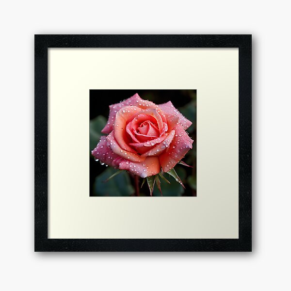 Item preview, Macro photograph of a rose digital print designed and sold by dcrc.