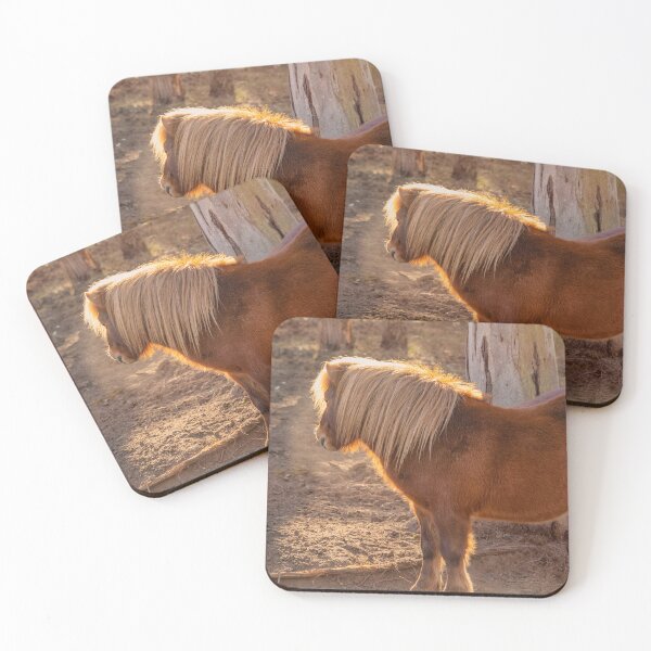 Item preview, Shetland en la luz designed and sold by Carolyn's Captures - Original Photohgraphy.