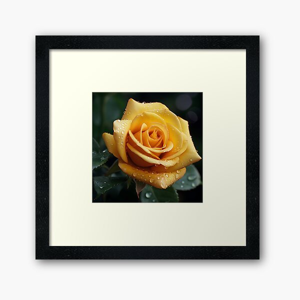 Item preview, Macro photograph of a rose digital print designed and sold by dcrc.