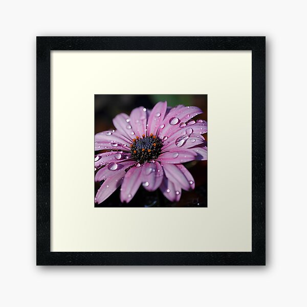 Item preview, Macro photograph of a flower digital print designed and sold by dcrc.