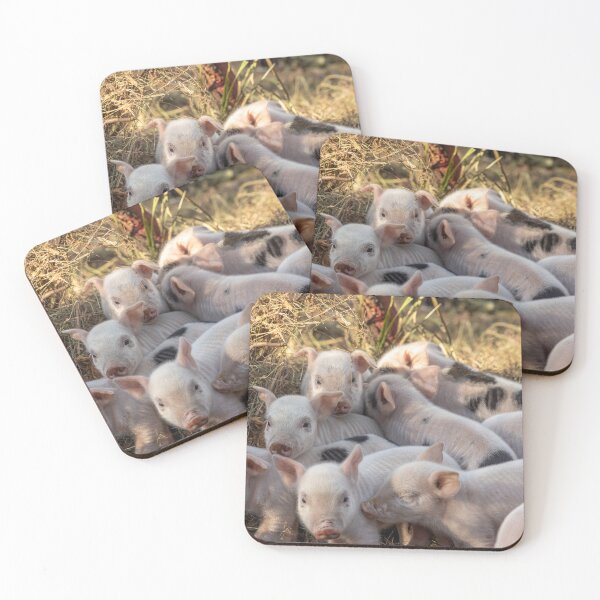 Item preview, Piglet Huddle designed and sold by Carolyn's Captures - Original Photohgraphy.
