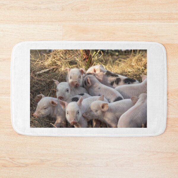 Item preview, Piglet Huddle designed and sold by Carolyn's Captures - Original Photohgraphy.