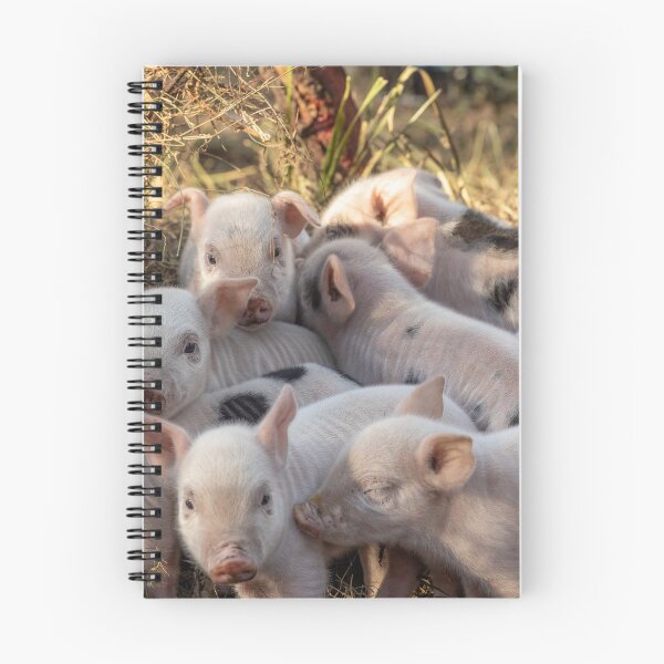 Item preview, Piglet Huddle designed and sold by Carolyn's Captures - Original Photohgraphy.