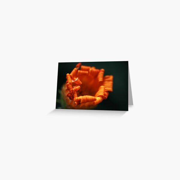 Goldilocks Greeting Card