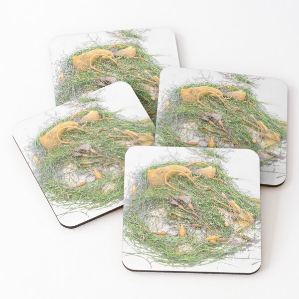 Item preview, Circle of Seaweed designed and sold by heatherfriedman.