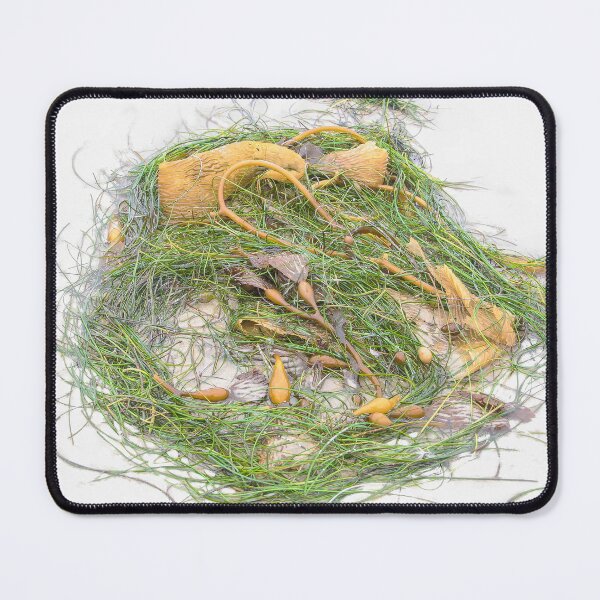 Item preview, Circle of Seaweed designed and sold by heatherfriedman.