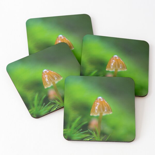 Item preview, Tiny Little Mushroom Macro Photograph designed and sold by JMDesignHouse.