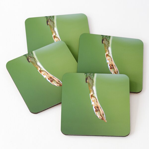 Item preview, Water Droplet On End Of Leaf Macro Photograph designed and sold by JMDesignHouse.