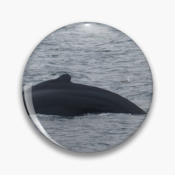 Item preview, Humpback Whale and Gull designed and sold by padthepad.