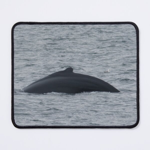 Item preview, Humpback Whale and Gull designed and sold by padthepad.
