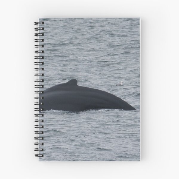 Item preview, Humpback Whale and Gull designed and sold by padthepad.