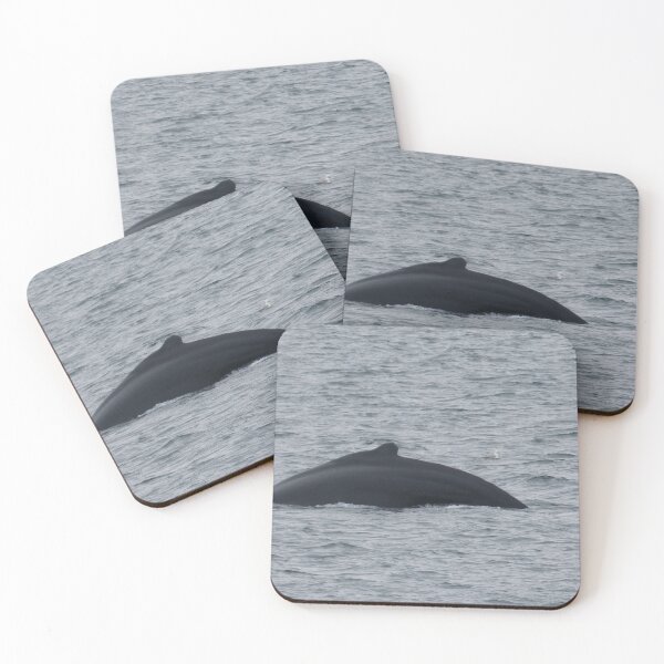 Item preview, Humpback Whale and Gull designed and sold by padthepad.