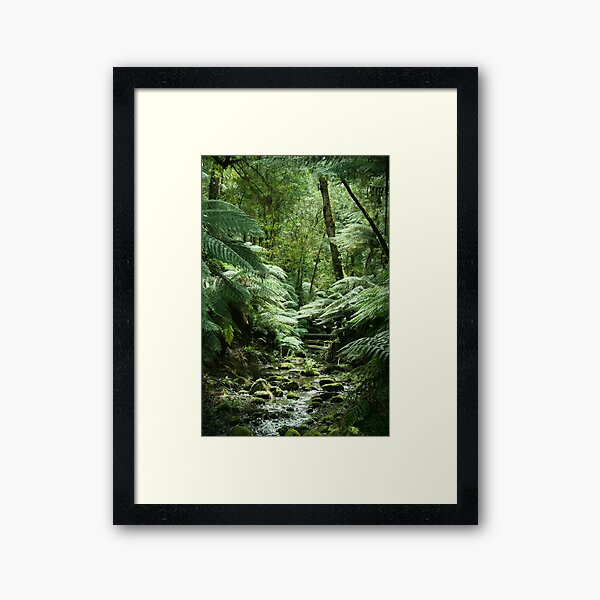 Item preview, Tarra-Bulga National Park designed and sold by Stephen McMillan.