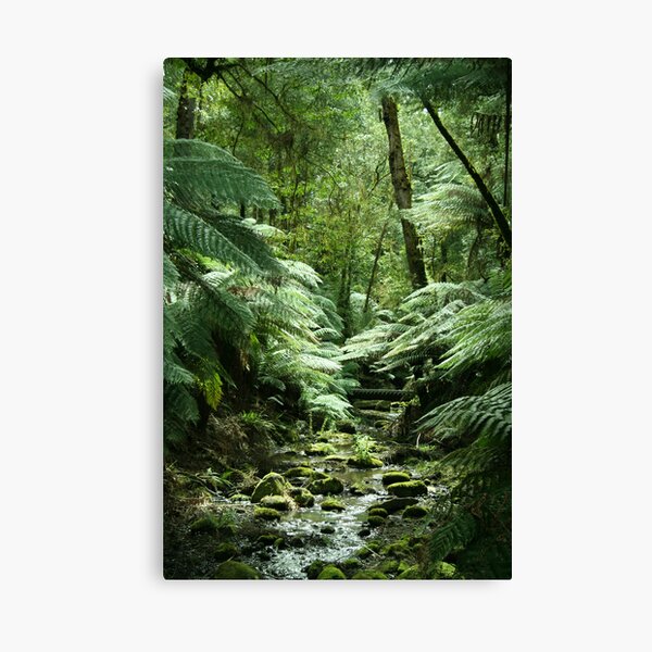 Item preview, Tarra-Bulga National Park designed and sold by Stephen McMillan.