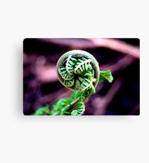 Ready To Un-Roll Canvas Print