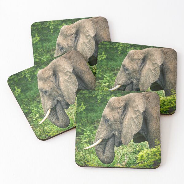 Item preview, Elephant in Profile designed and sold by Viv Thompson Photography .
