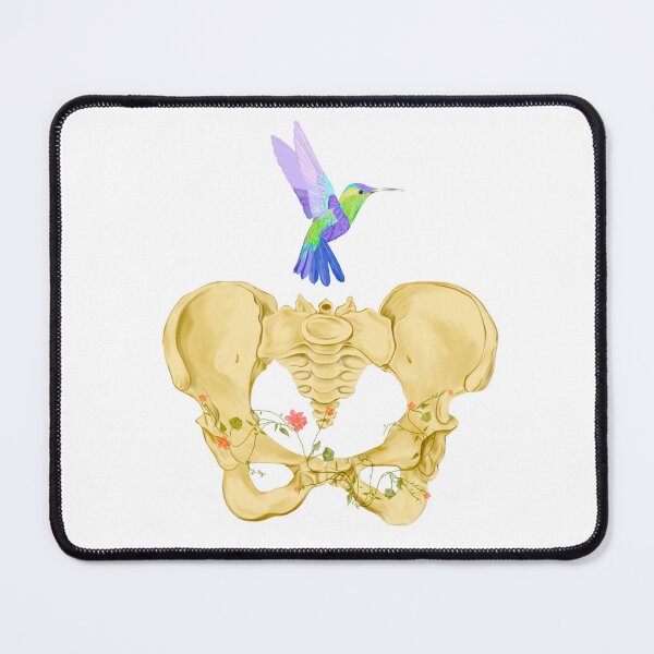 Item preview, Bones of female pelvis with hummingbird designed and sold by Carola-art.