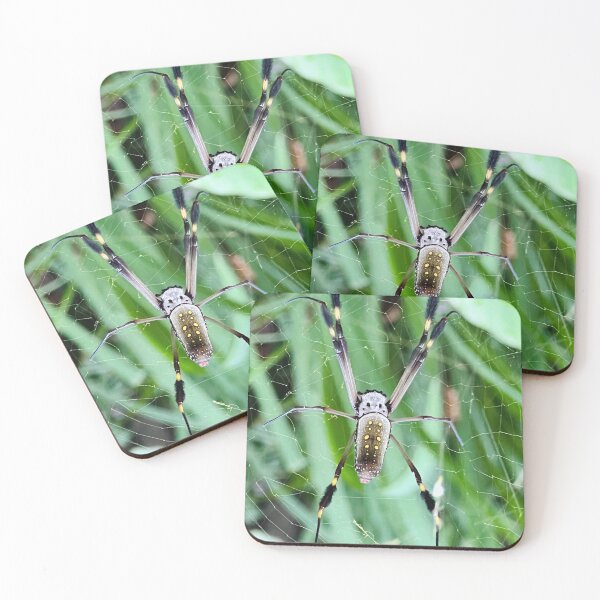 Item preview, Garden Spider designed and sold by shachris.