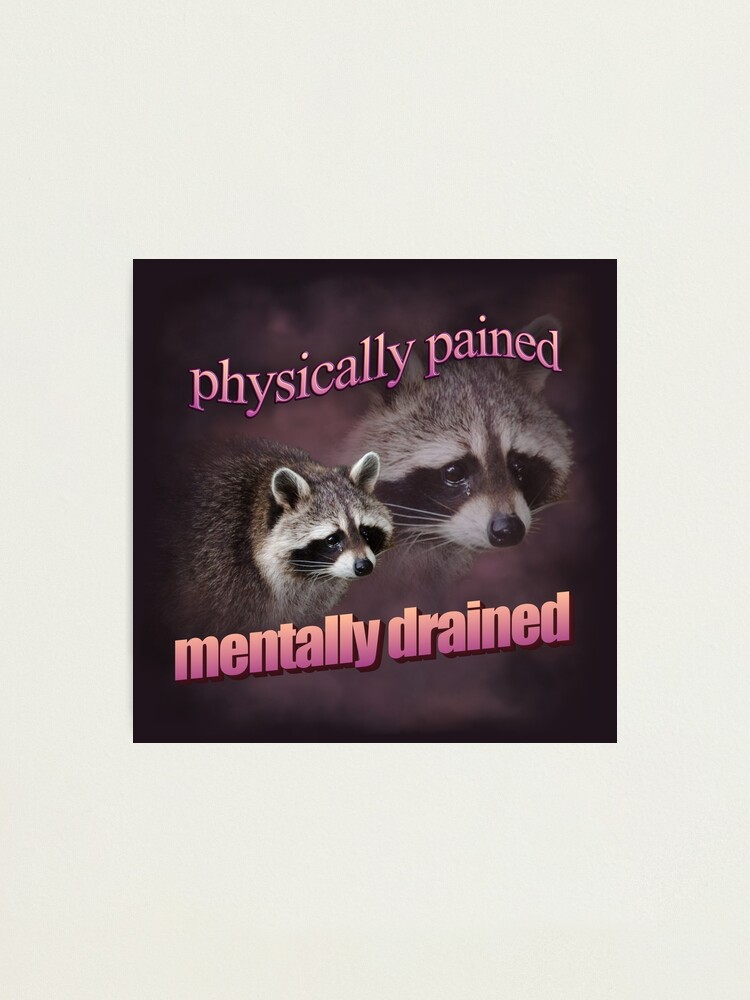 Physically Pained, Mentally Drained Raccoon Meme Sticker for Sale