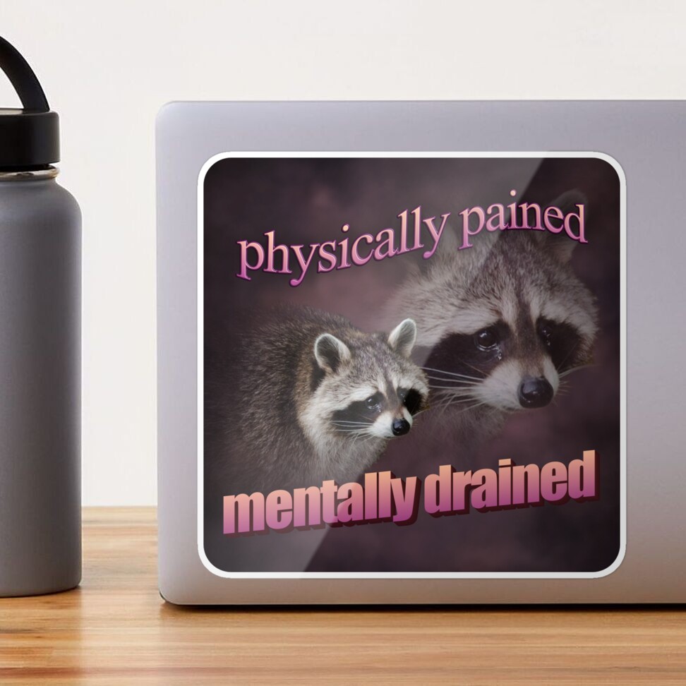 Physically Pained, Mentally Drained Raccoon Meme Sticker for Sale