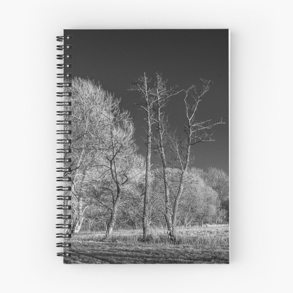 Item preview, Chelsworth Water Meadows #4 designed and sold by ccullen222.