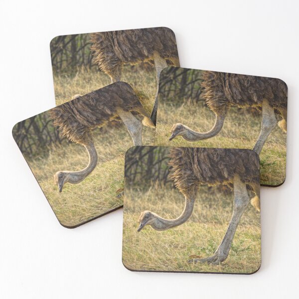 Item preview, Walking with Ostriches designed and sold by Viv Thompson Photography .