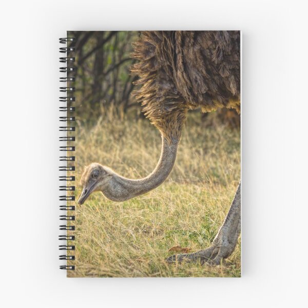 Item preview, Walking with Ostriches designed and sold by Viv Thompson Photography .
