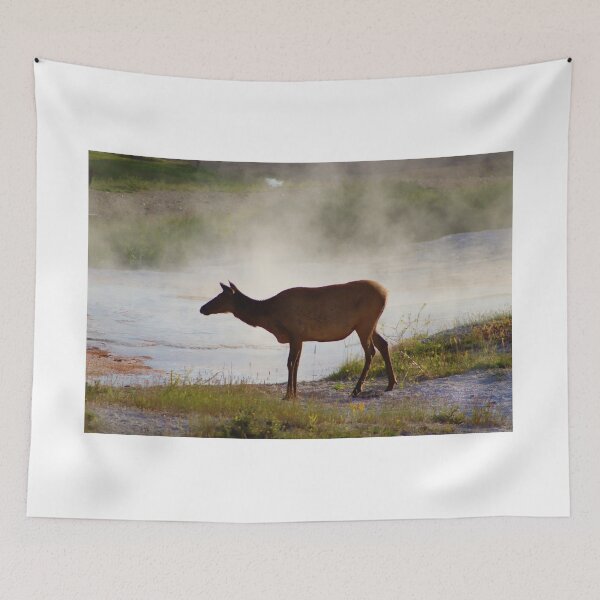 Item preview, Beautiful Elk designed and sold by simonjayphotos.