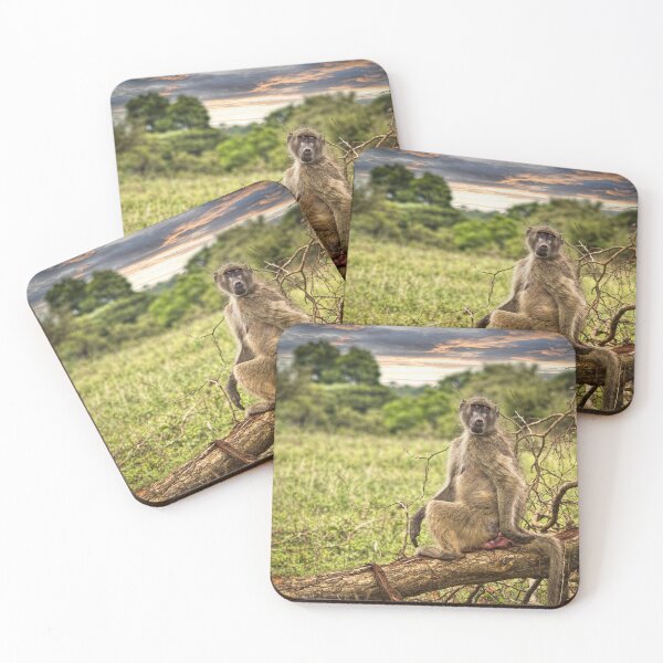 Item preview, The Lookout designed and sold by Viv Thompson Photography .