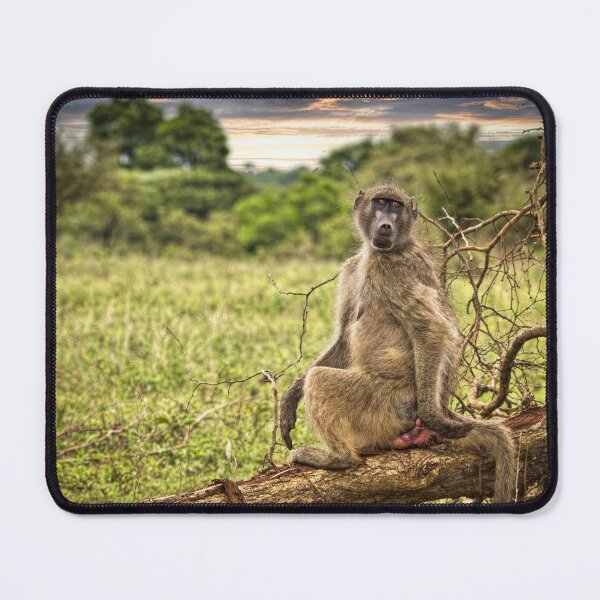 Item preview, The Lookout designed and sold by Viv Thompson Photography .