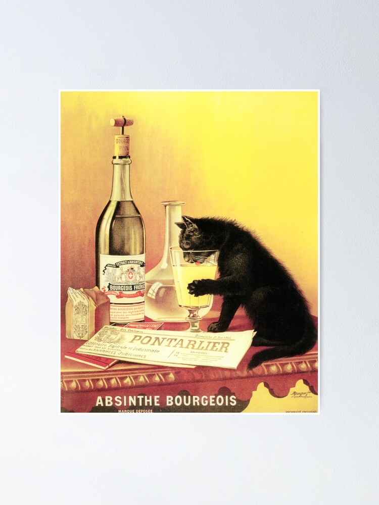 absinth cat