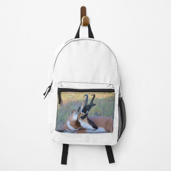 Item preview, Splendid Pronghorn designed and sold by simonjayphotos.